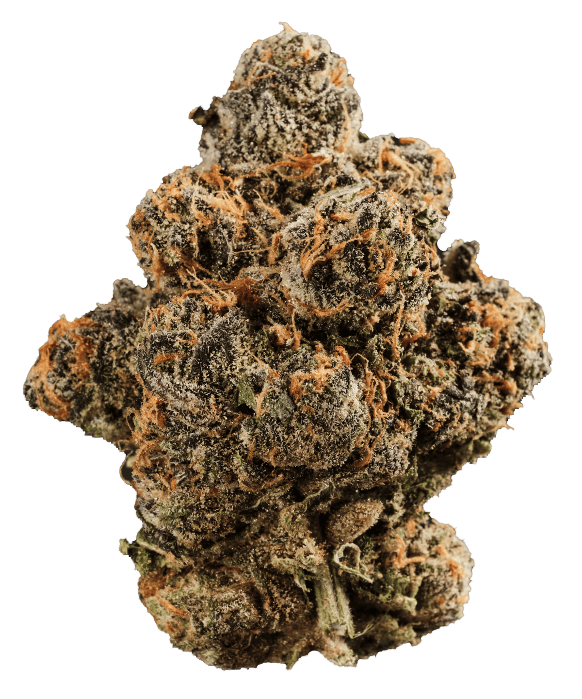 420 Compound 22/1 GAP Gastro Pop Produktfoto