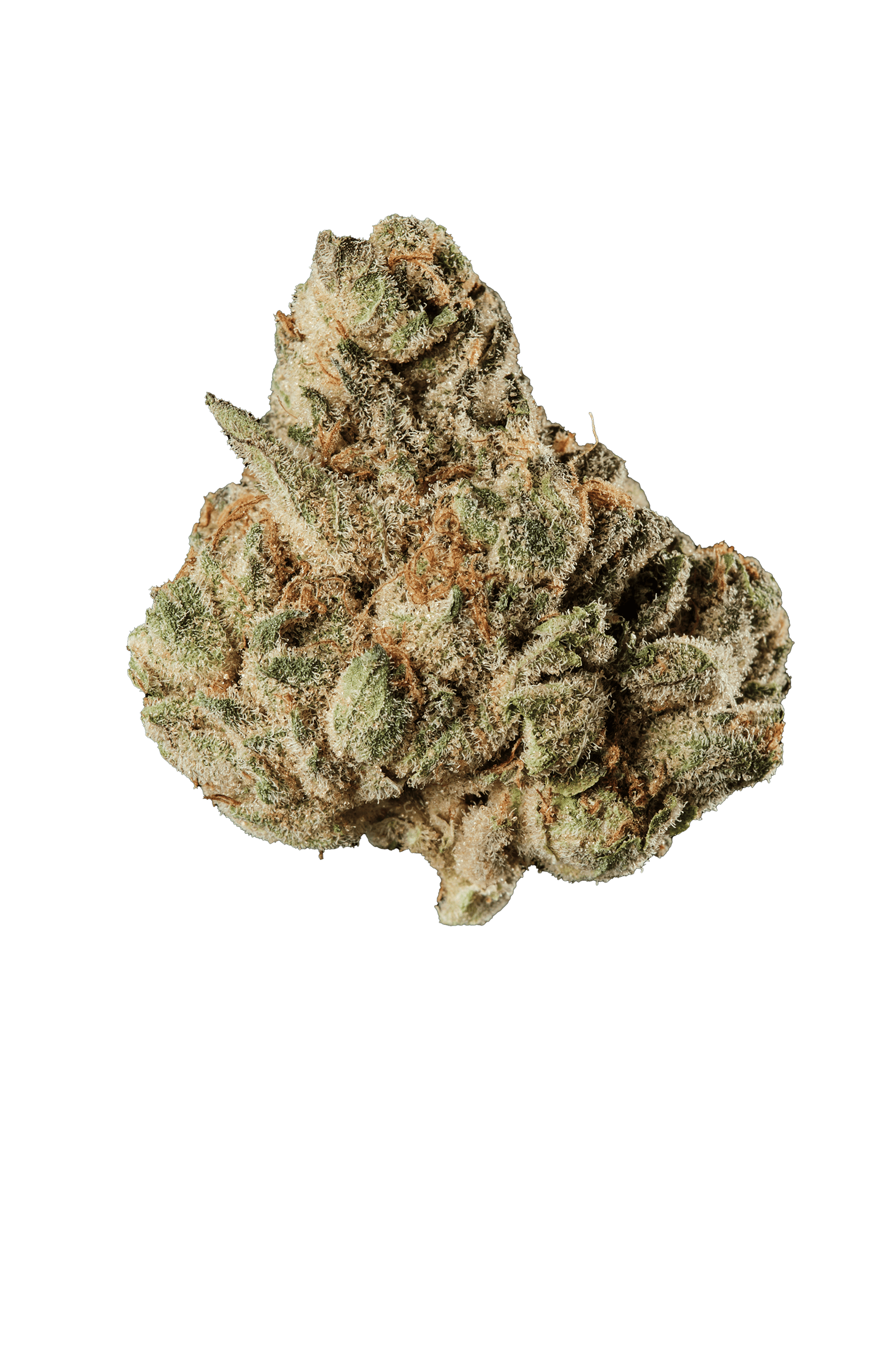 420 Evolution 27/1 CA MFG Modified Grapes product photo