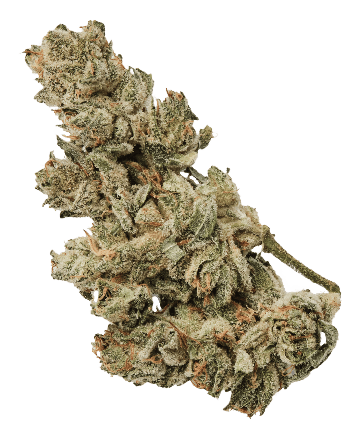 420 Natural 22/1 CA GG4 Gorilla Glue Produktfoto