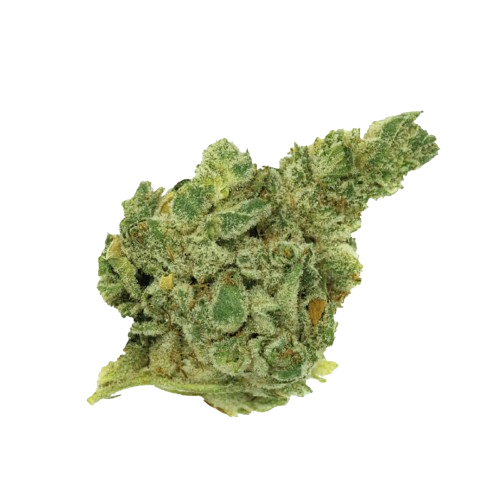 420 Natural 25/1 CA GG4 Gorilla Glue product photo