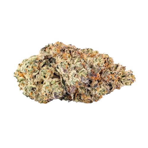 Barongo 26/1 SSS Sunset Strudel Produktfoto