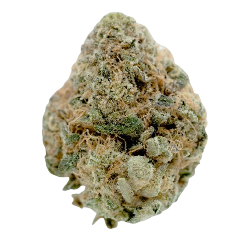Barongo 30/1 ECC Cheddar Cheese Produktfoto