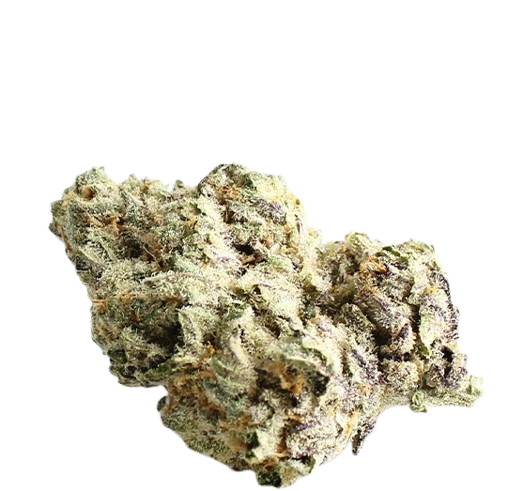 BC Green 17/1 OC Orange Crasher Produktfoto
