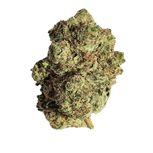 CannabiStada 20/1 PIK Pink Kush Produktfoto