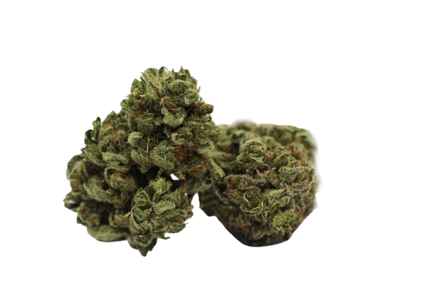 Good Supply THC10:CBD9 WLC Warlock CBD Produktfoto
