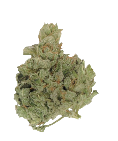 Tilray THC25 Spotlight Porto Sativa No. 4 Island Sweet Skunk product photo